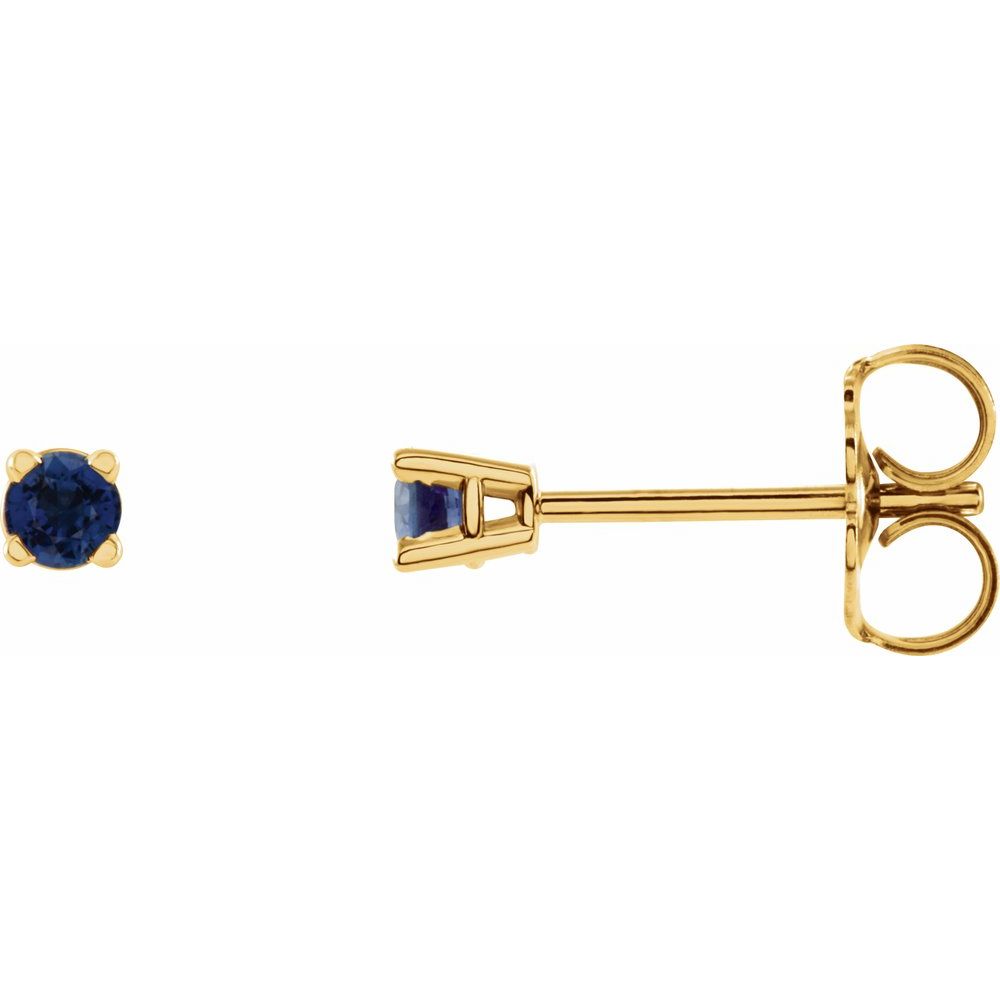 Genuine 14k Yellow Gold 2.5 mm Natural Blue Sapphire Stud Earrings