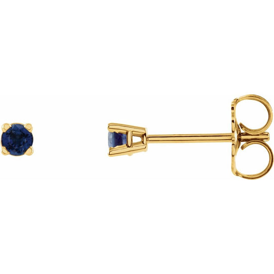 Genuine 14k Yellow Gold 2.5 mm Natural Blue Sapphire Stud Earrings