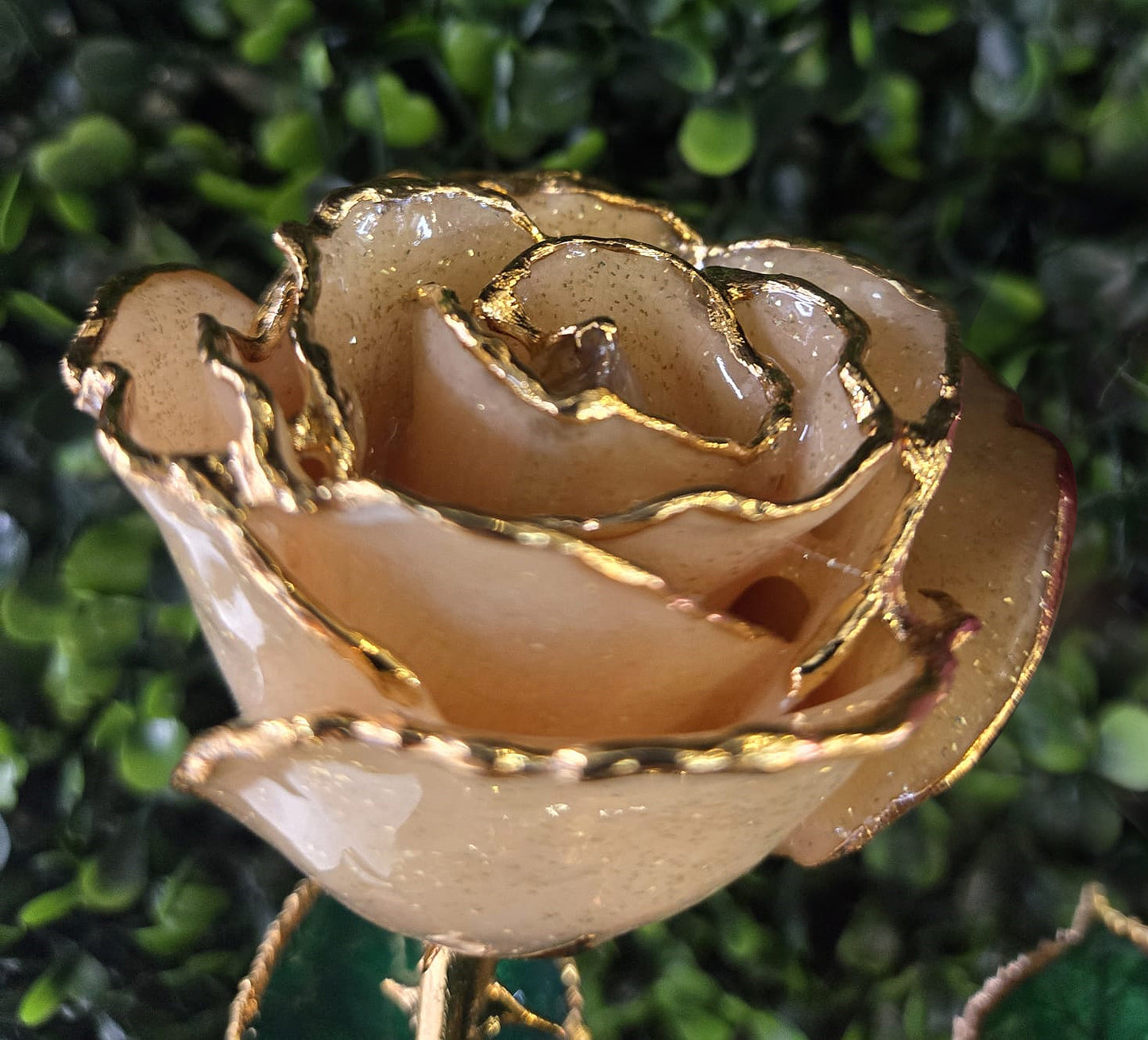 Lacquered Pearl Colored Rose with Gold Trim