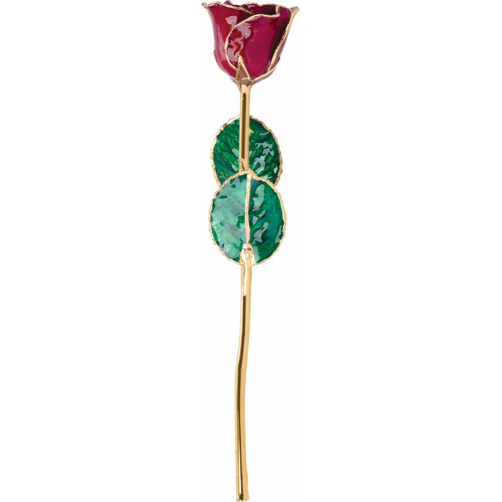 Lacquered Garnet Colored Rose with Gold Trim