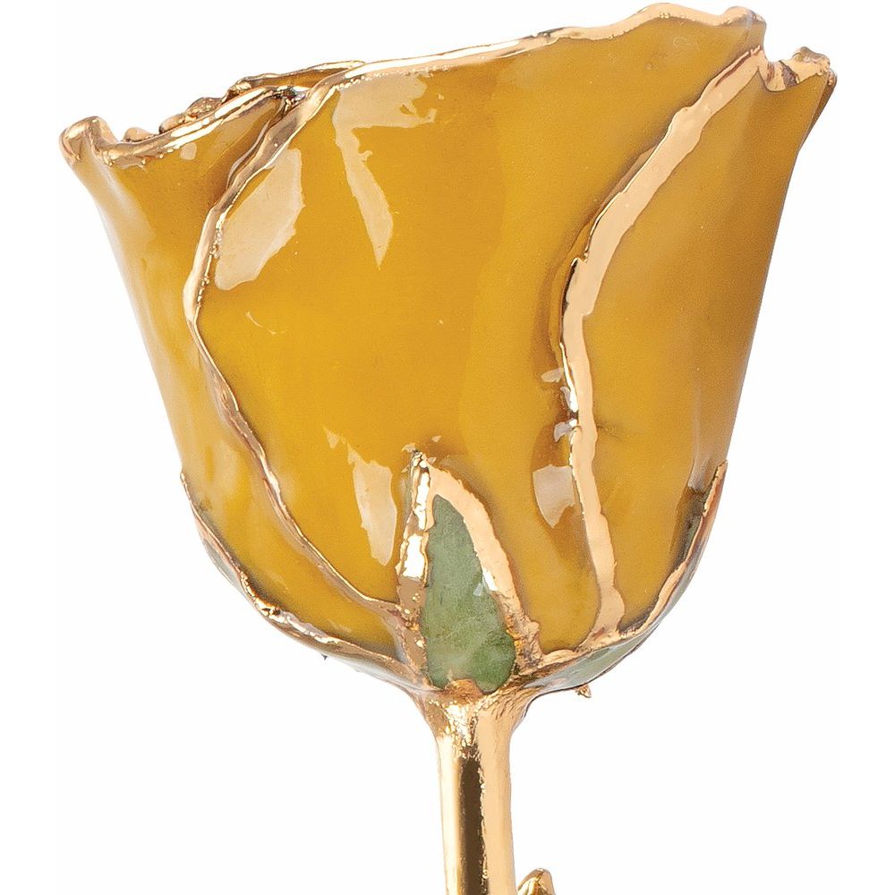 Lacquered Yellow Topaz Colored Rose with Gold Trim