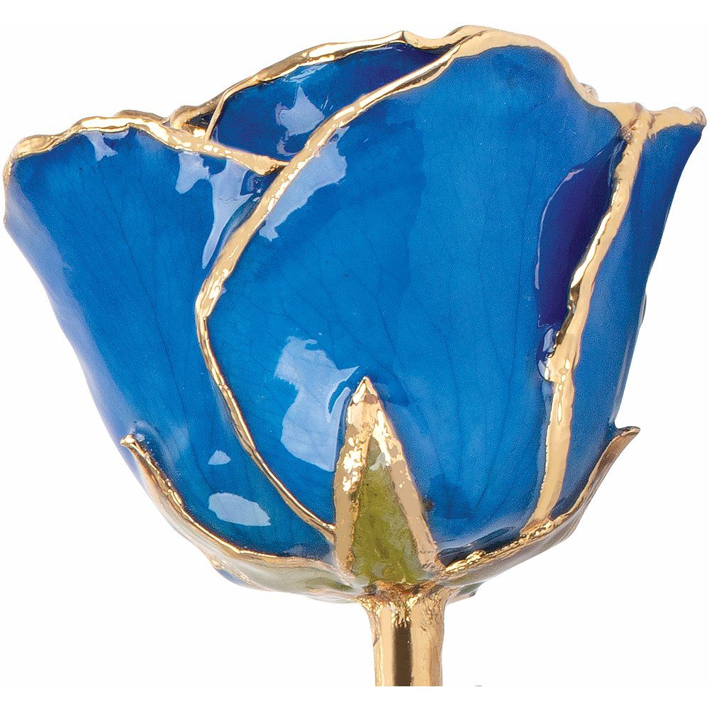 Lacquered Blue Sapphire Colored Rose with Gold Trim