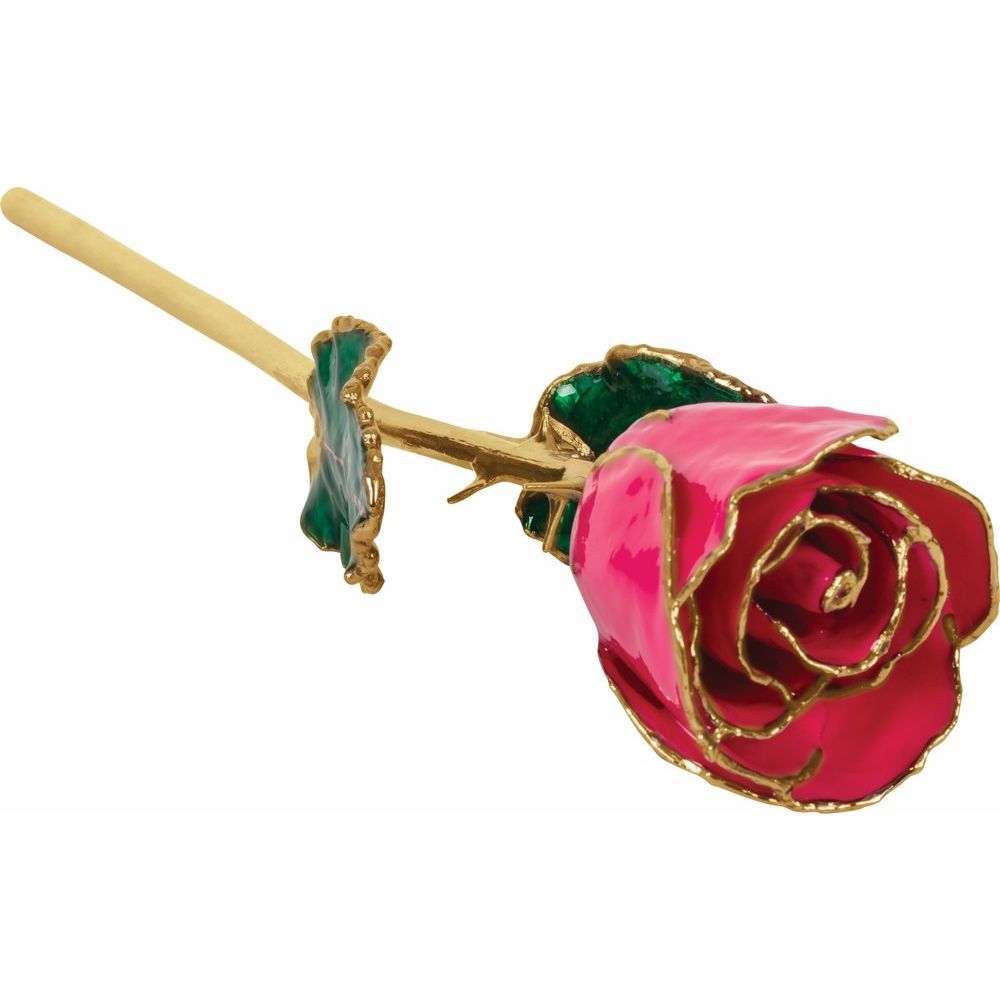 Lacquered Magenta Rose with Gold Trim