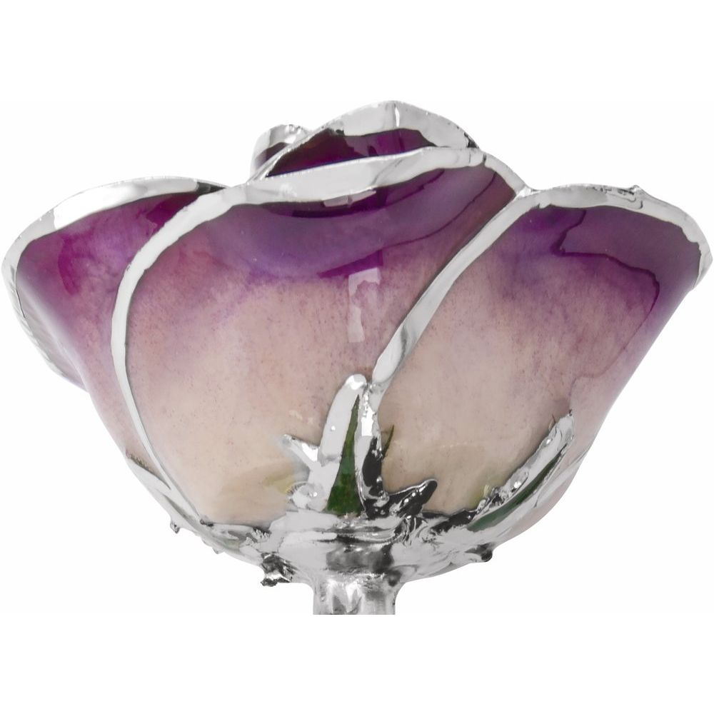 Lacquered Purple Rose with Platinum Trim