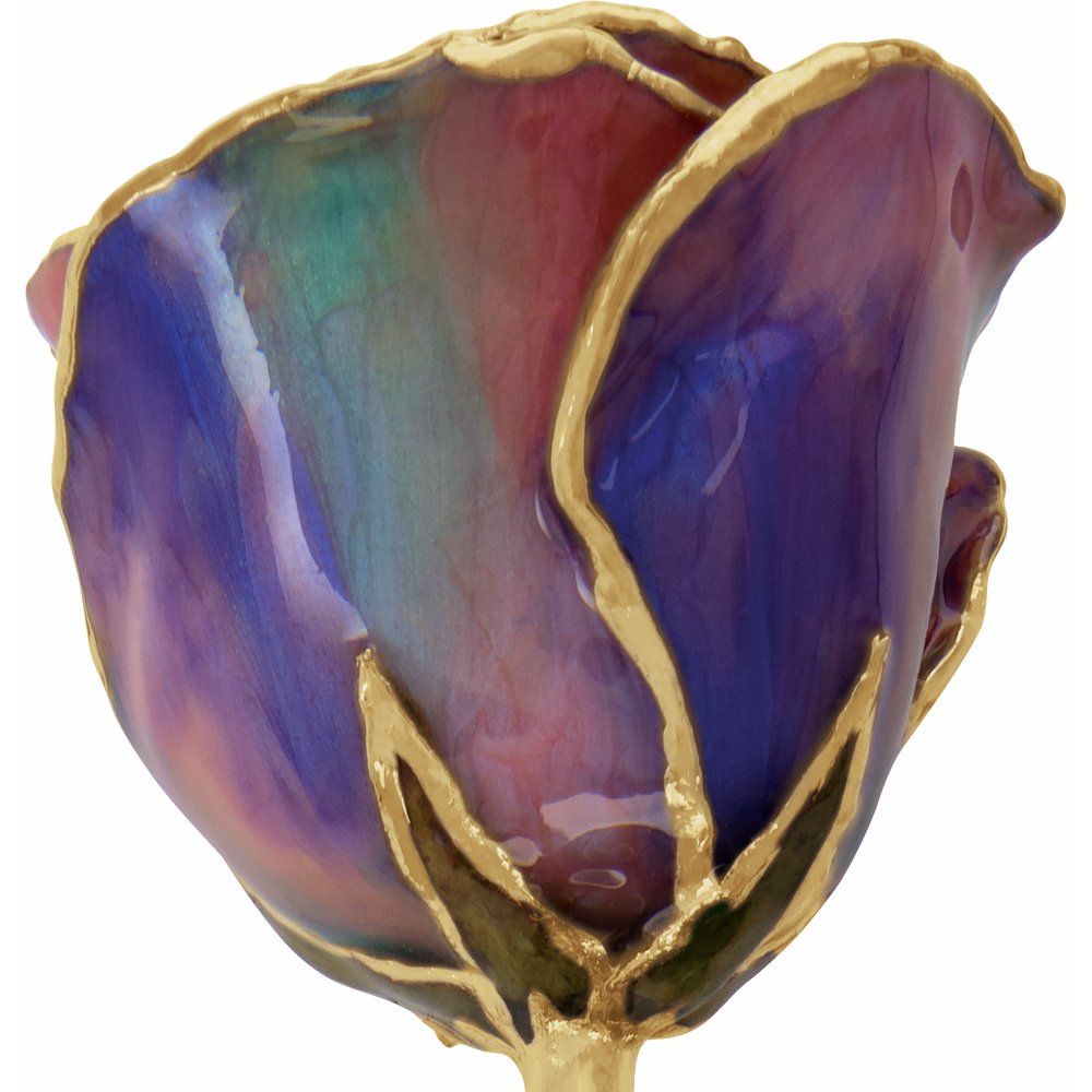 Lacquered October Opal Colored Rose with Gold Trim