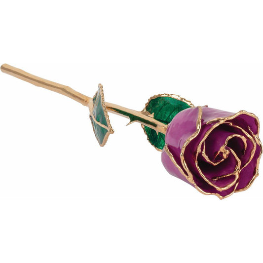 Lacquered Amethyst Colored Rose with Gold Trim