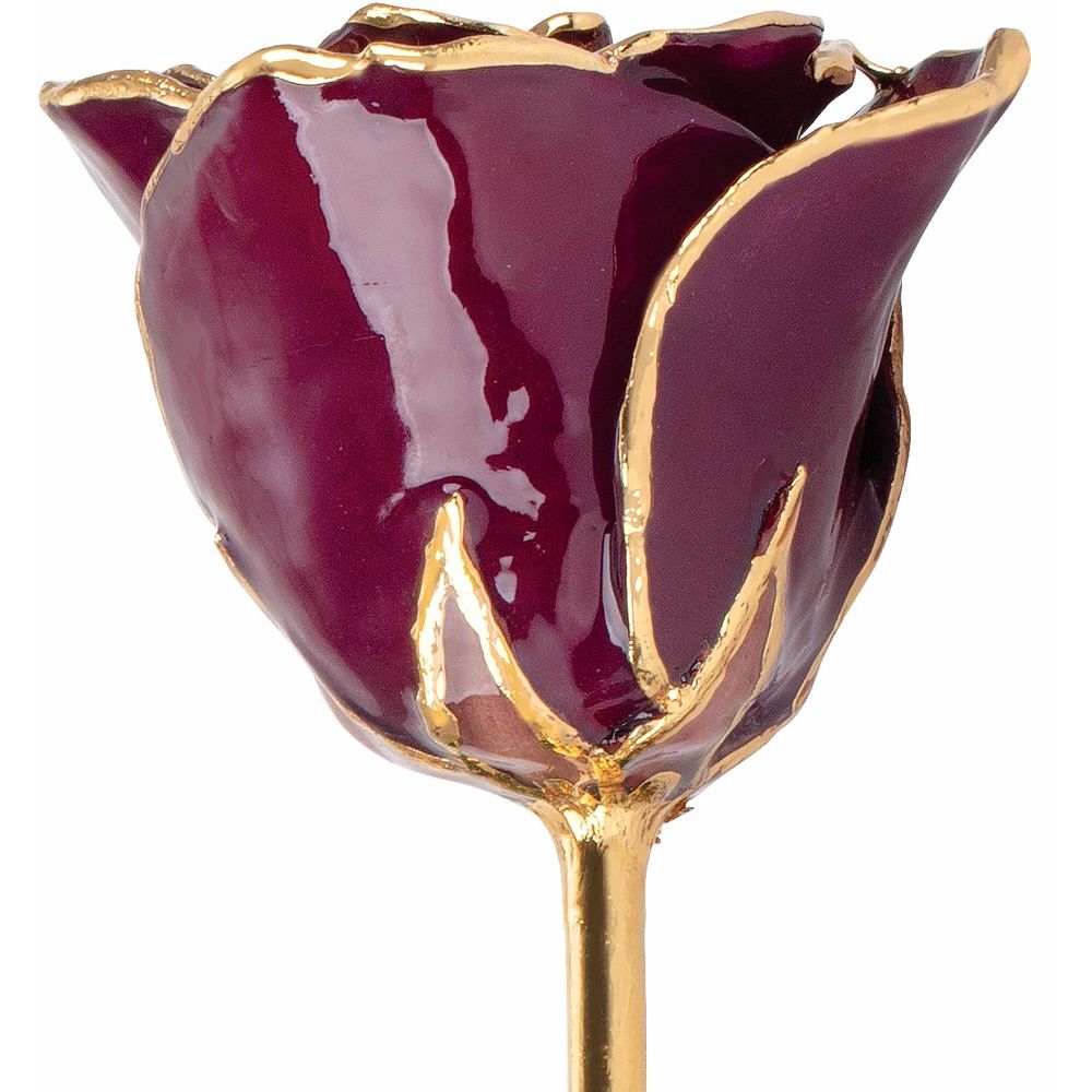 Lacquered Burgundy Rose with Gold Trim