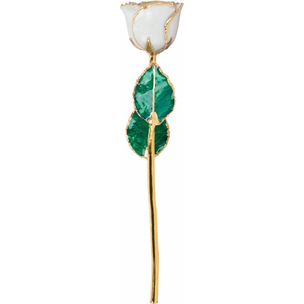 Lacquered Pearl Colored Rose with Gold Trim