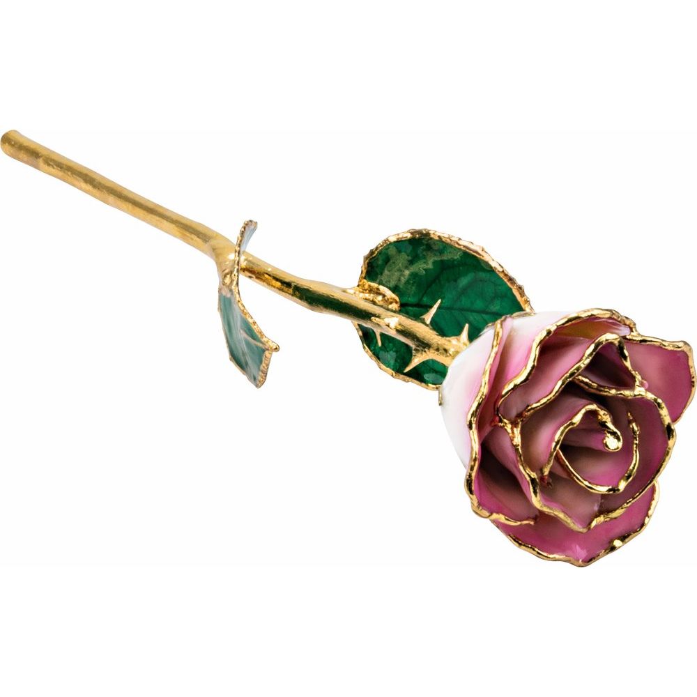 Lacquered Cream Pink Rose with Gold Trim