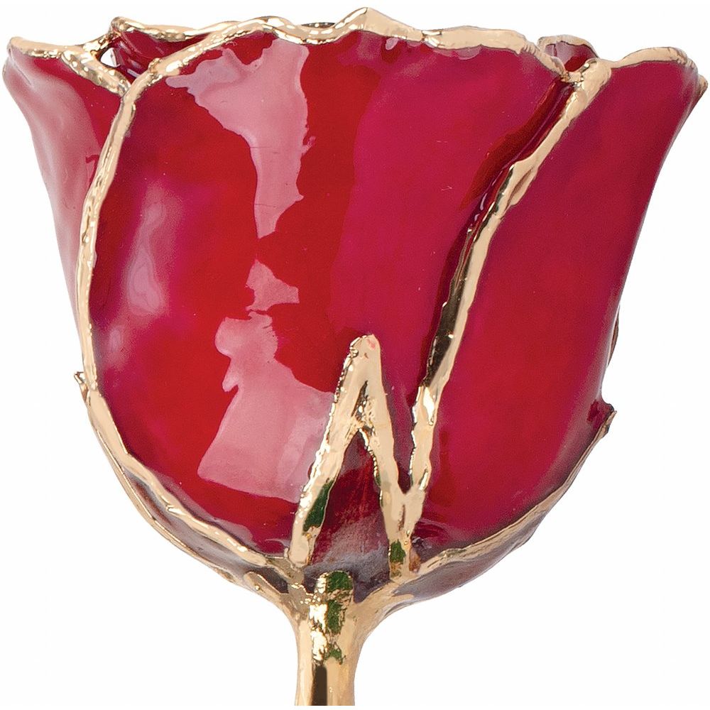 Lacquered Ruby Colored Rose with Gold Trim