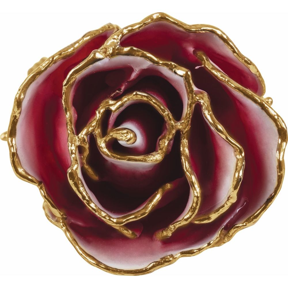 Lacquered Frozen White & Red Rose with Gold Trim