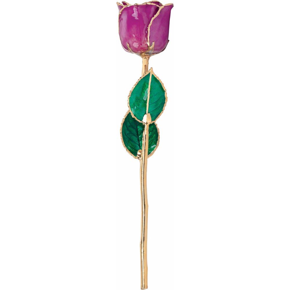Lacquered Amethyst Colored Rose with Gold Trim