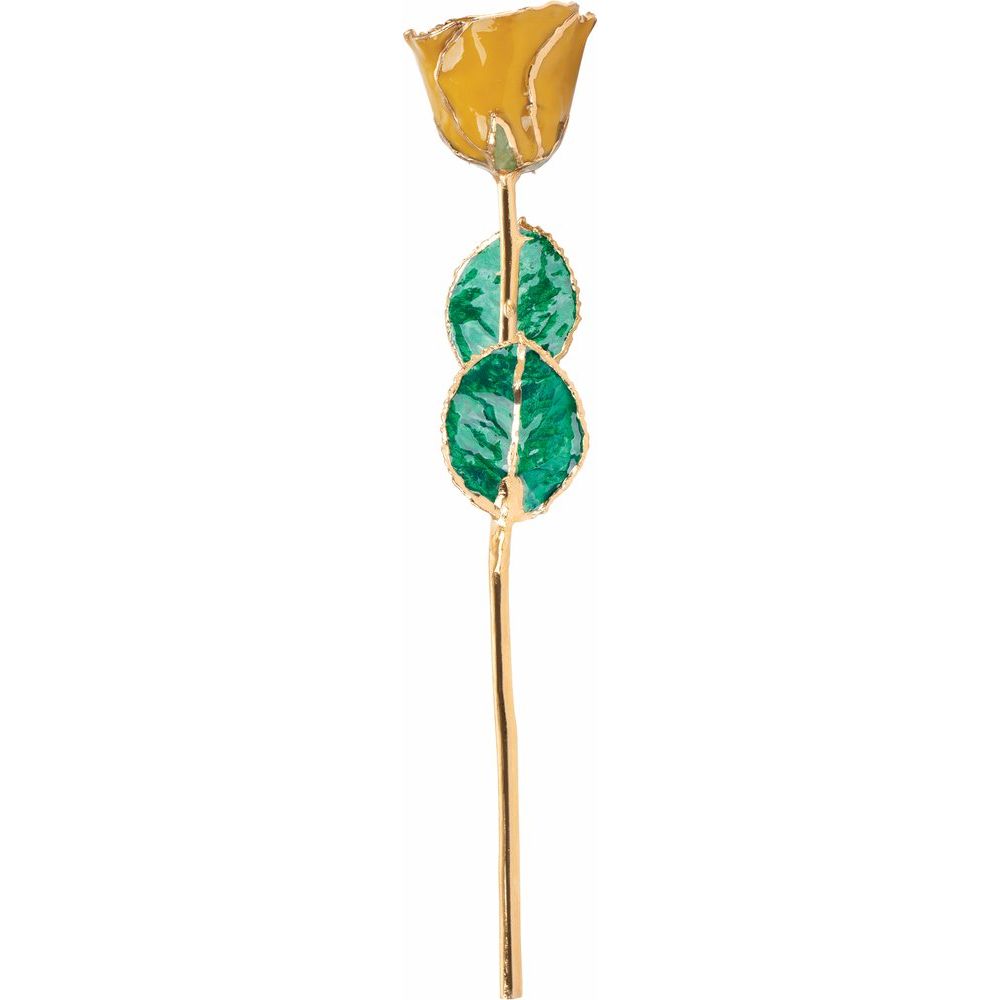 Lacquered Yellow Topaz Colored Rose with Gold Trim